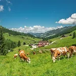 Am Sonnberg شقة