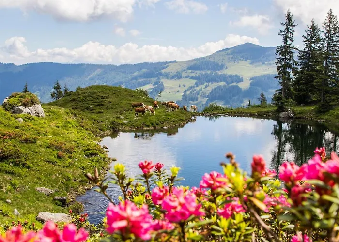 Apartment Am Sonnberg *